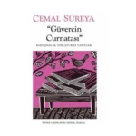 Güvercin Curnatası: Konuşmalar, Soruşturma Yanıtları