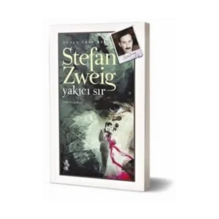 Yakıcı Sır - Stefan Zweig - Venedik Yayınları