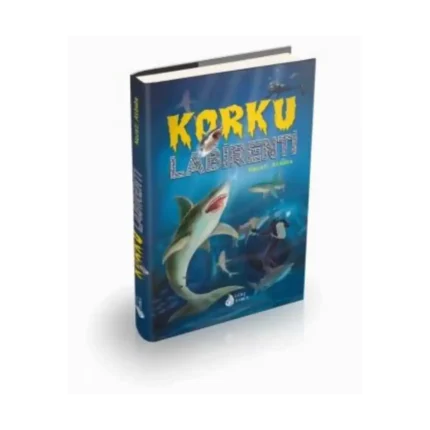 KORKU LABİRENTİ - NECATİ AKBABA - DAMLA YAYINLARI